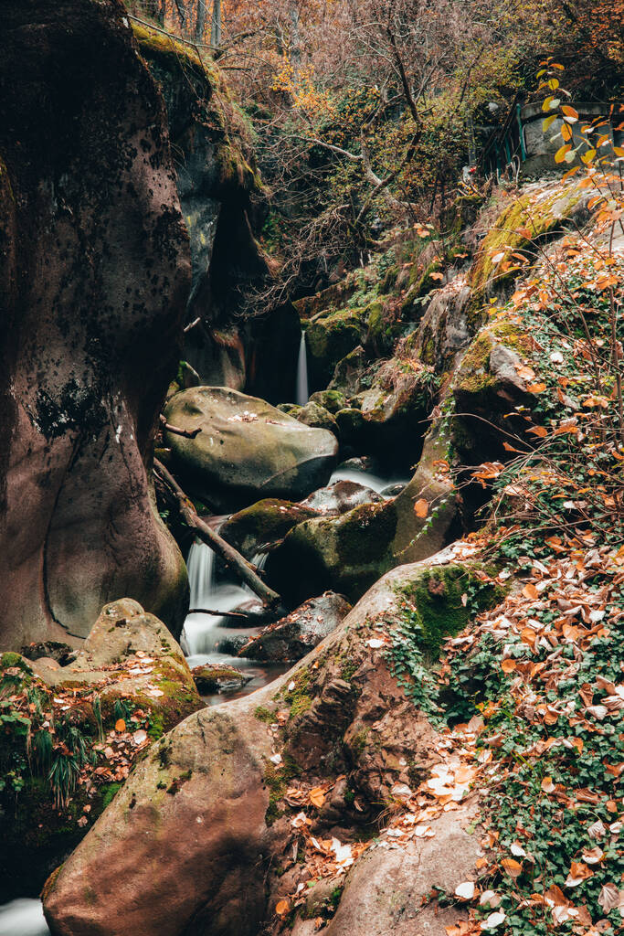 Krásný záběr na vodopád v lese - Fotografie, Obrázek