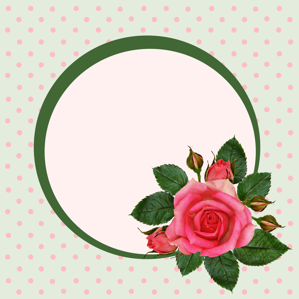 Flores de rosa y marco
 - Foto, imagen