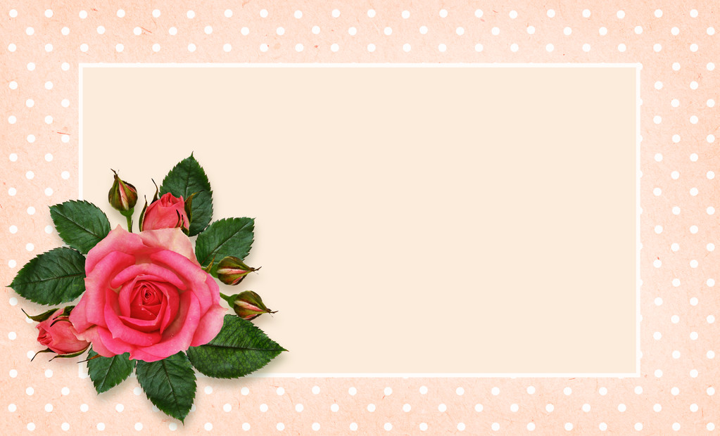 Квіти троянд і рамка
 - Фото, зображення