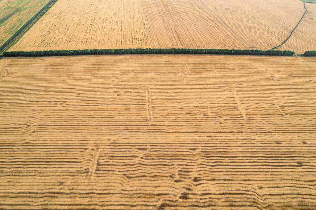 収穫後の畑からの眺め。信じられないほどの風景やテクスチャ。水平線に平行に伸びる幾何学的な線を組み合わせたものです - 写真・画像