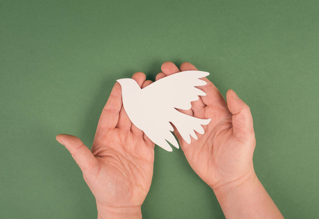 Тримає білий голуб у руках, символ миру, вирізаний папір, копіює простір для тексту
 - Фото, зображення