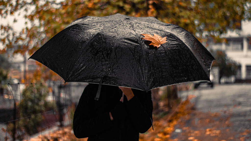 Osoba w czarnym płaszczu trzymająca czarny parasol z suchym opadłym liściem w deszczowy jesienny dzień - Zdjęcie, obraz