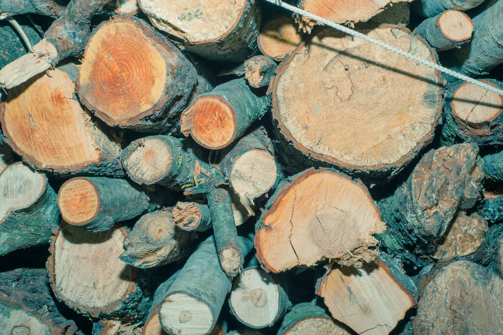 Τοίχος των στοιβαγμένων κορμών ξύλου ως φυσικό φόντο - Φωτογραφία, εικόνα