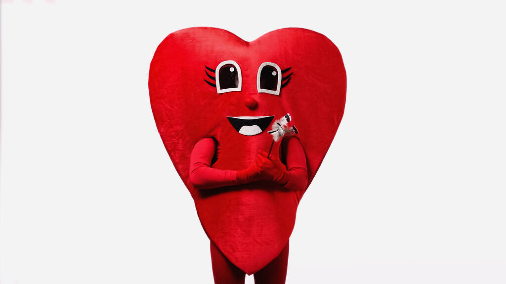 человек в костюме красного сердца держит палку с перьями, изолированными на белом - Фото, изображение