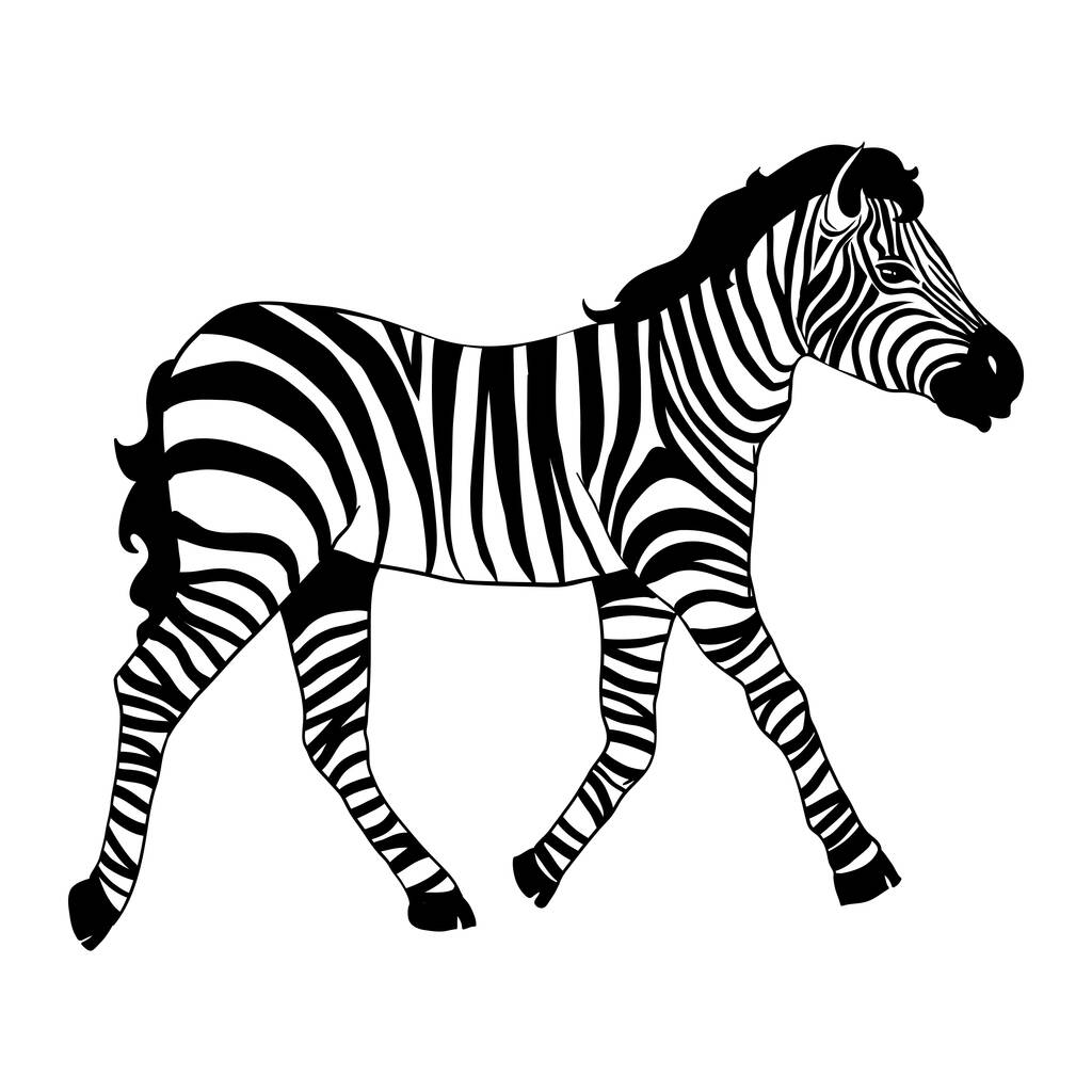 Primer plano hermoso potrait Zebra mirando a la cámara aislada sobre fondo blanco, ilustración vectorial para tatuaje e impresión - Vector, imagen
