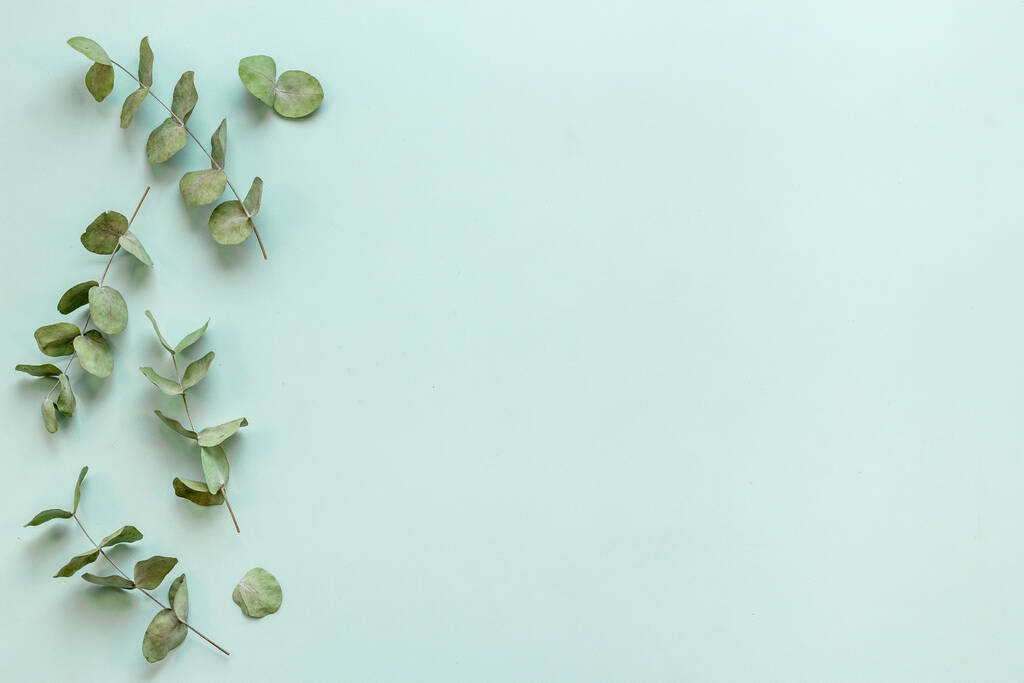 Eucalyptus leaves and branches pattern flat lay - Photo, Image