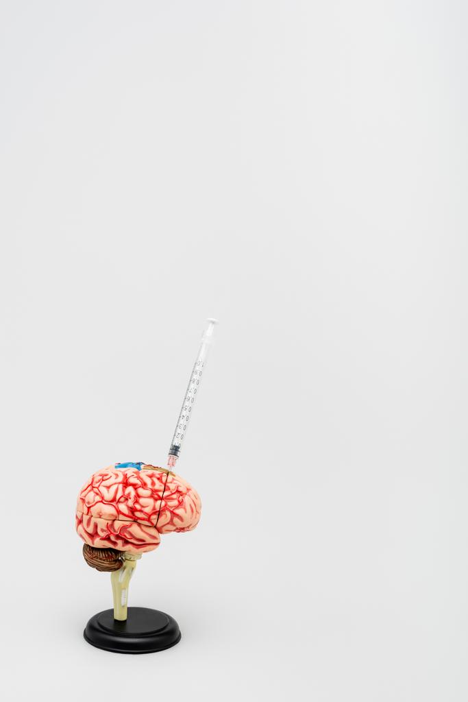 шприц у моделі мозку на сірому фоні з копіювальним простором, концепція варіанту омікрона
 - Фото, зображення