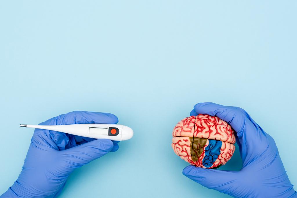 vista recortada del médico con modelo cerebral y termómetro electrónico en azul - Foto, Imagen