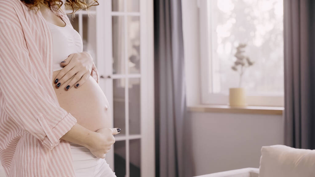 Vista ritagliata della donna incinta che tocca la pancia a casa  - Foto, immagini