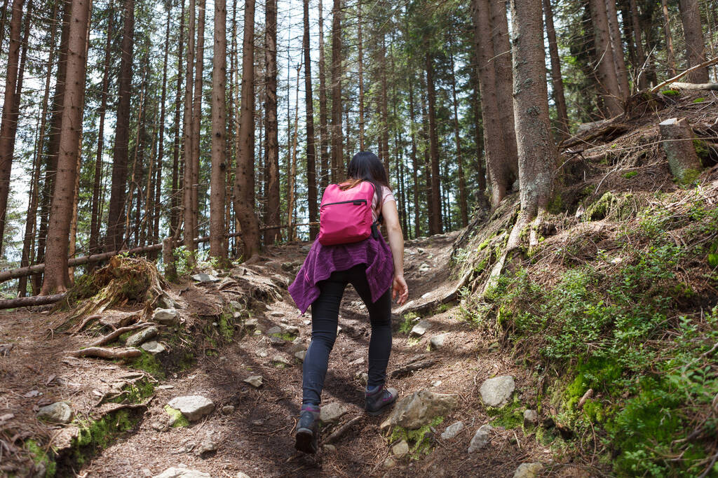 Schot van achteren van vrouw klimmen met rugzak in heuvelachtig gebied, bos. - Foto, afbeelding