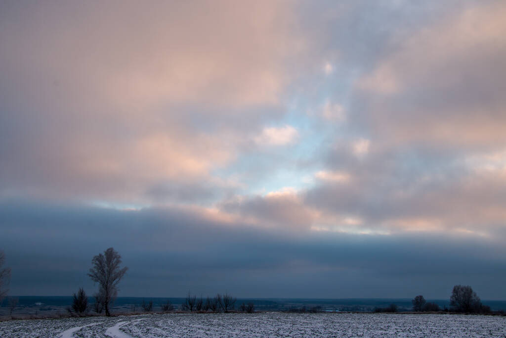 Prachtig winterlandschap. Een boom bedekt met witte vorst in een besneeuwd veld, close-up. Zonnige ijzige dag. Natuur prachtige achtergrond. Winter in Oekraïne - Foto, afbeelding