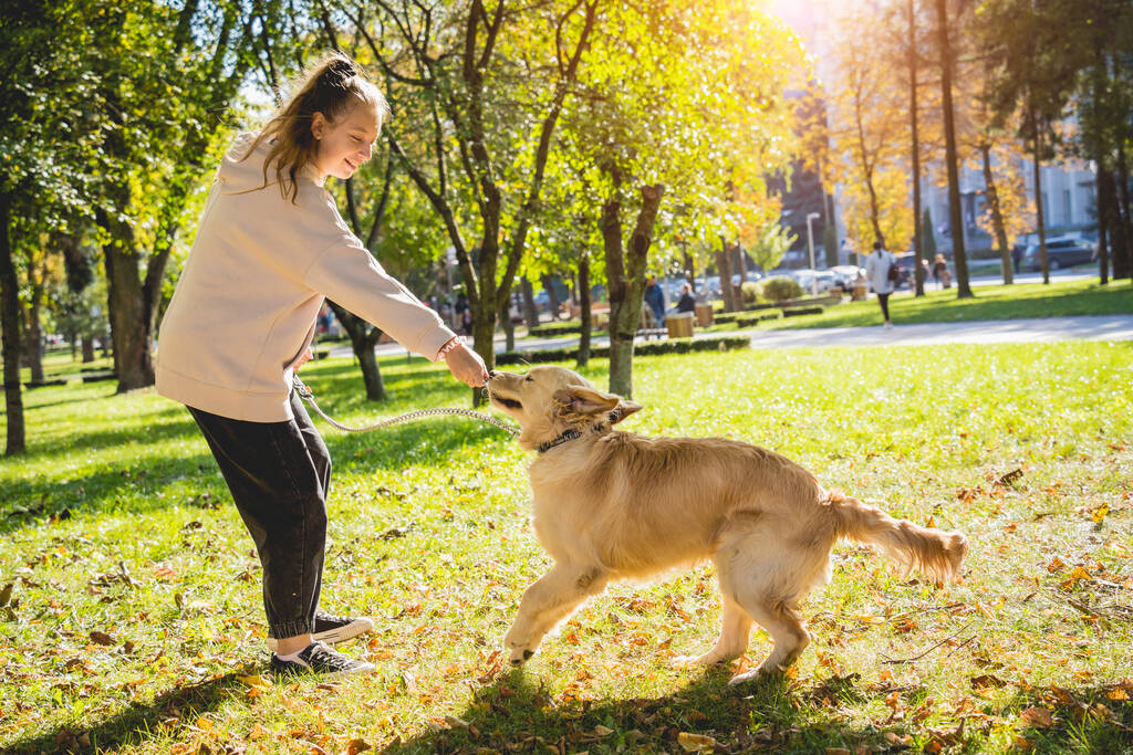 Владелец играет золотую собаку-ретривер в парке. - Фото, изображение