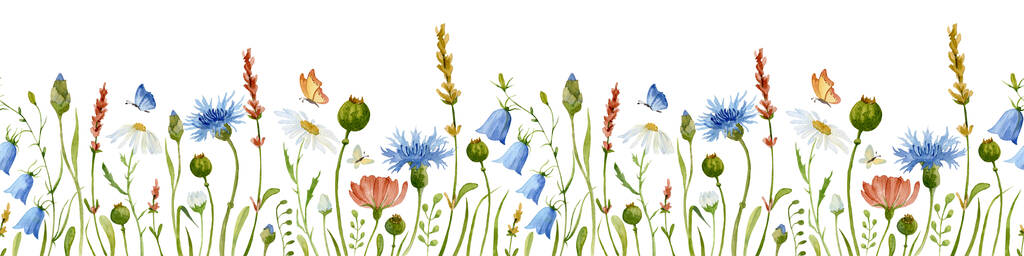 Watercolor Flower Border with chamomile and cornflower - Zdjęcie, obraz