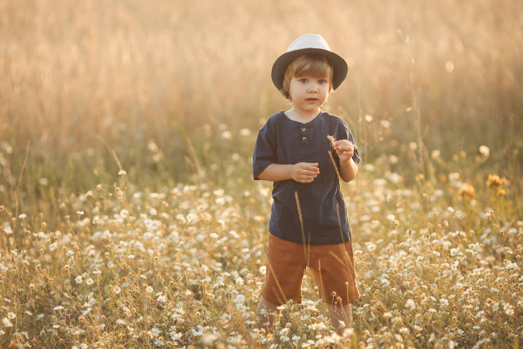 Portrait of cute caucasian little boy 2-3 years old in a straw hat walking and playing in camomile flowers field on a summer day at sunset  - Fotografie, Obrázek