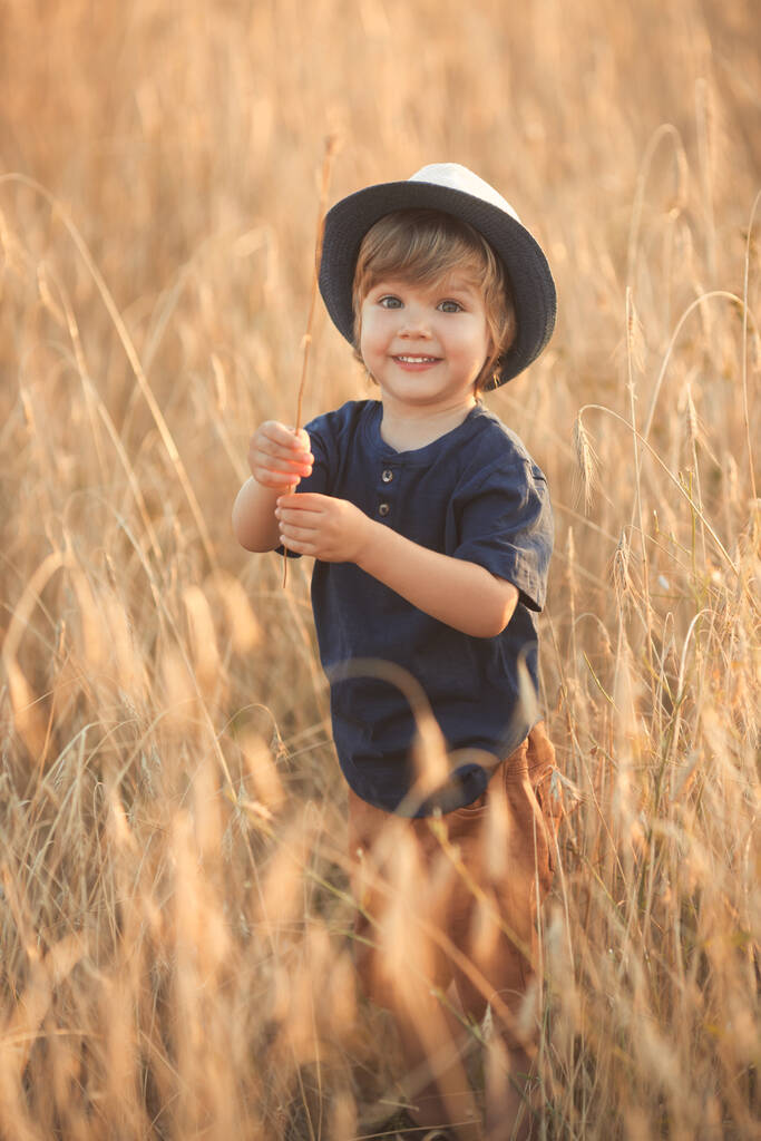 Retrato vertical de lindo niño caucásico de 2-3 años en un sombrero de paja caminando y jugando en un campo de trigo en un día de verano al atardecer  - Foto, imagen