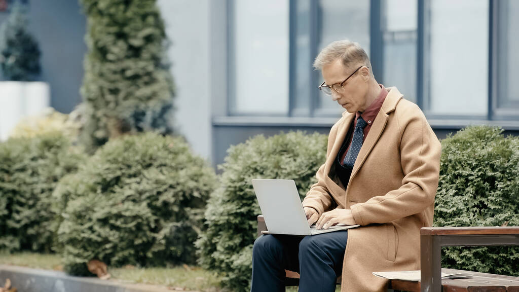 Businessman in coat using laptop near newspaper on bench outdoors  - 写真・画像