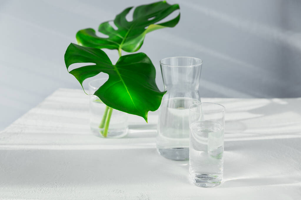 Verre du matin et bocal d'eau propre avec deux grandes feuilles vertes sur la table blanche. Petit déjeuner avec ombre longue lumière du soleil et réflexion. Concept d'un mode de vie sain - Photo, image