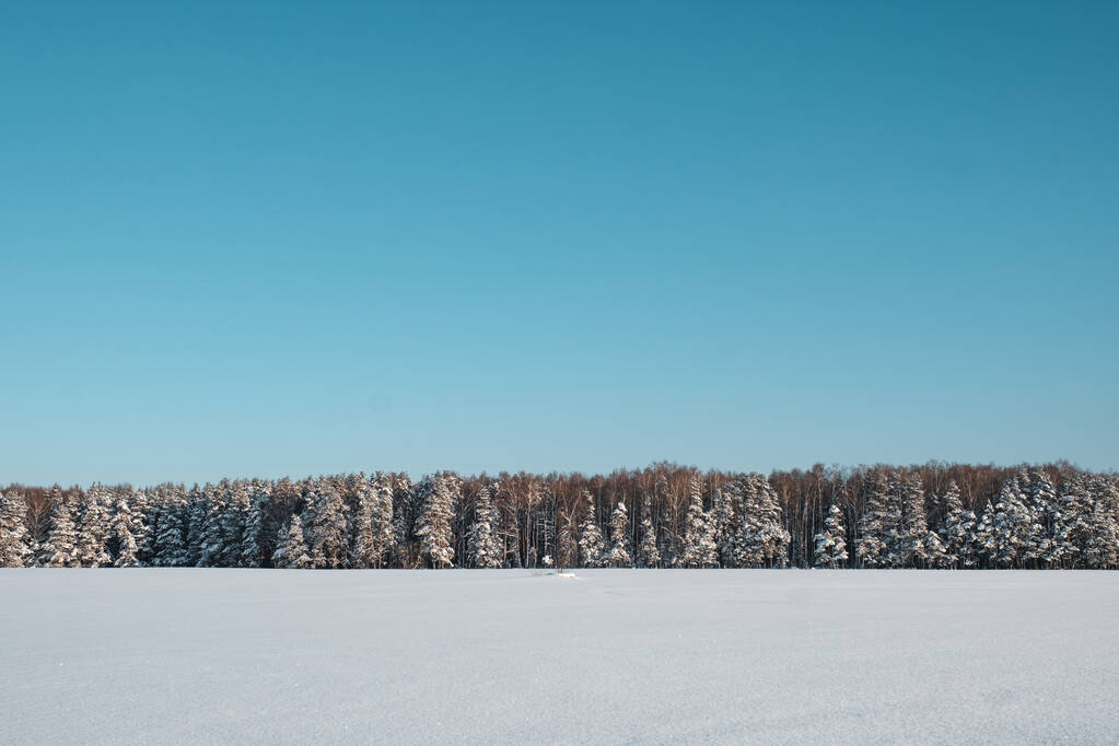 Floresta de Inverno. Inverno nevado. Campo de neve em frente à floresta - Foto, Imagem
