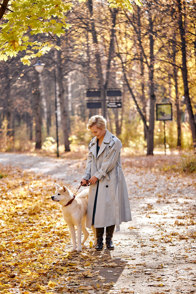 Mulher atraente andando, se divertindo com o cão ao ar livre. senhora loira de casaco - Foto, Imagem