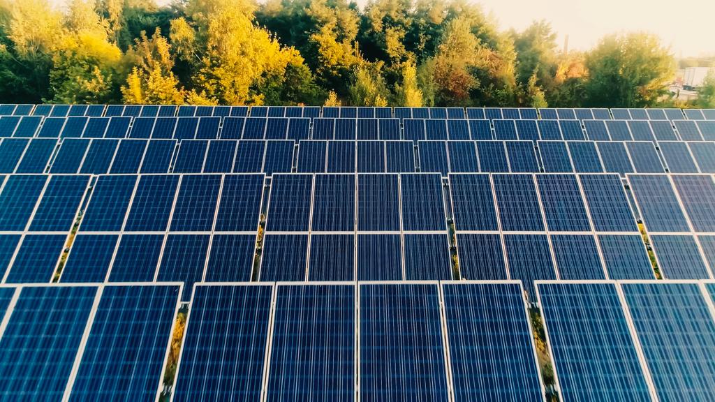 Aerial view of solar panels system near trees  - Foto, immagini