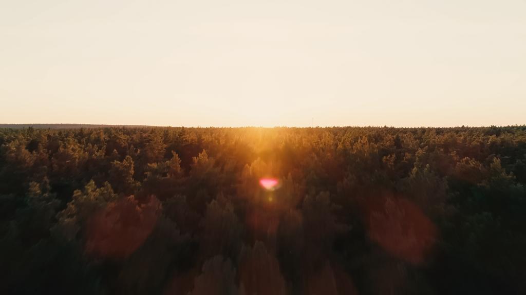 Вид с воздуха на лес и закатное небо  - Фото, изображение