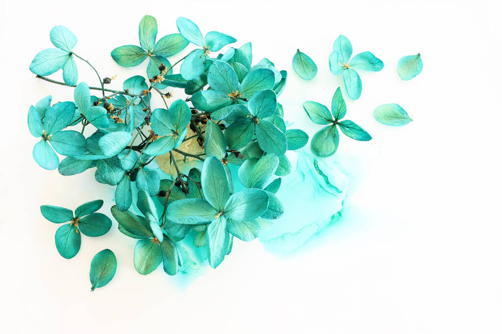 芸術的なインクの背景にエメラルドと緑のアジサイの花の創造的なイメージ。コピースペース付きのトップビュー - 写真・画像