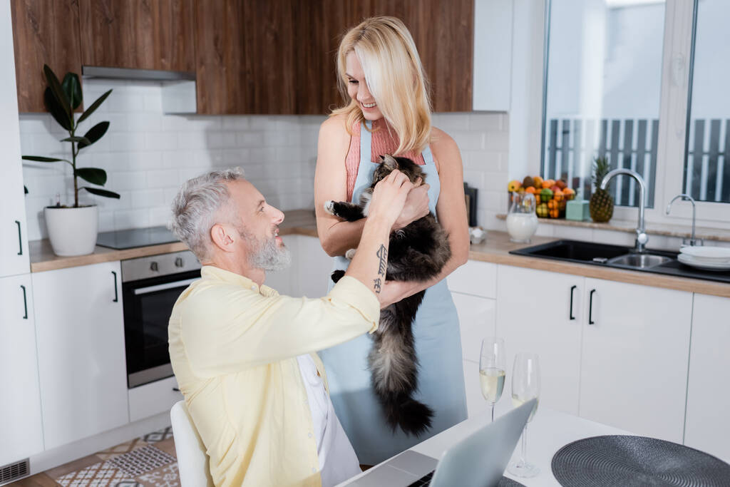 Pozytywna dojrzała kobieta w fartuchu trzyma kota w pobliżu męża, laptopa i szampana w domu  - Zdjęcie, obraz