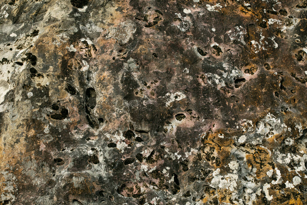 苔の質感の背景と古い灰色の石の壁。マクロ写真. - 写真・画像