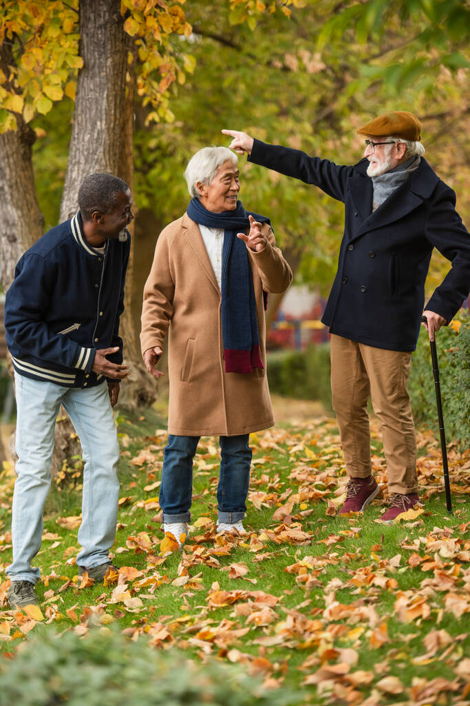Pozitivní multietničtí starší muži gestikulující v podzimním parku  - Fotografie, Obrázek