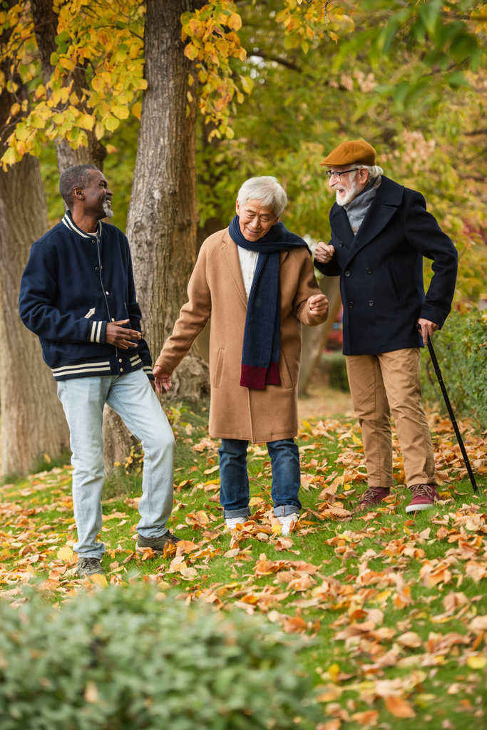 Boldog többnemzetiségű idős férfiak beszélgetnek az őszi parkban  - Fotó, kép