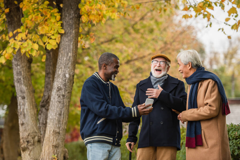 Багатоетнічні старші чоловіки стоять біля афроамериканського друга, показуючи смартфон в осінньому парку
  - Фото, зображення