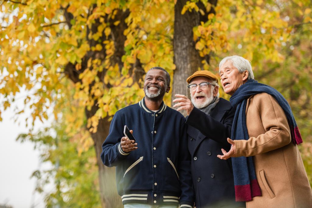 Hommes âgés multiethniques souriants avec smartphone regardant loin dans le parc d'automne  - Photo, image
