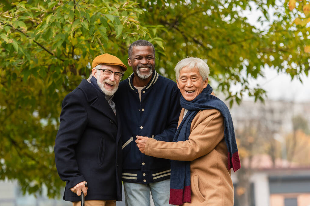 Cheerful multicultural senior friends smiling at camera in autumn park  - Photo, Image