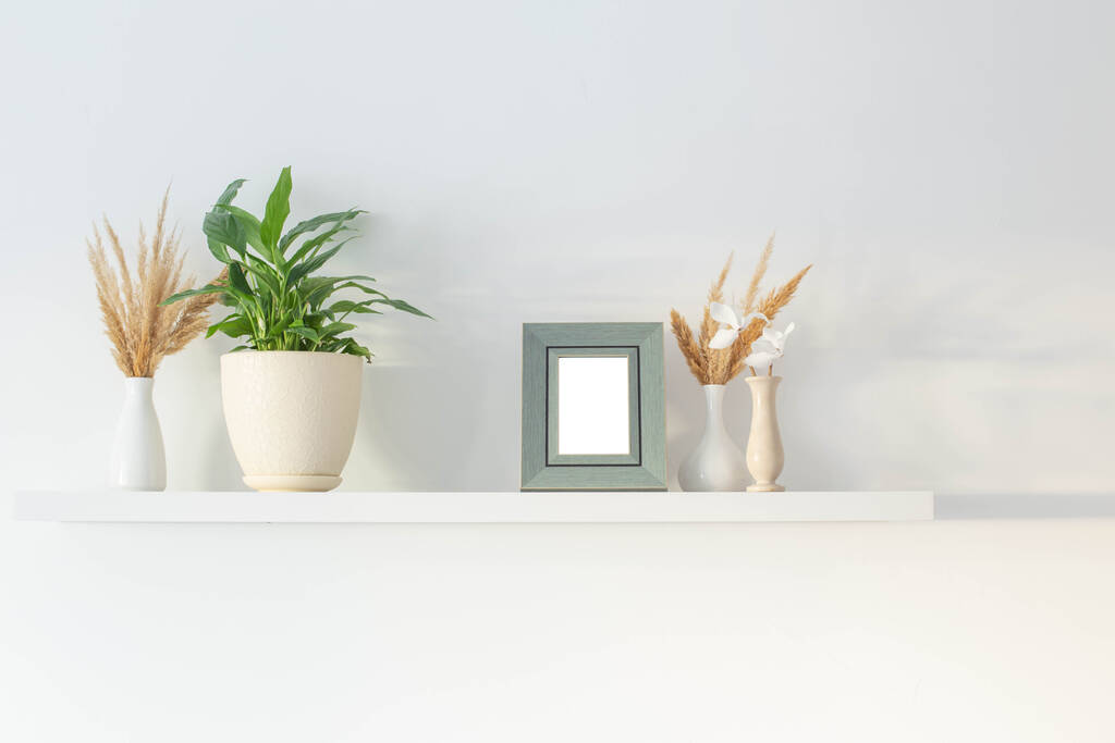 ξύλινο πλαίσιο με φυτά σε φόντο λευκό τοίχο - Φωτογραφία, εικόνα