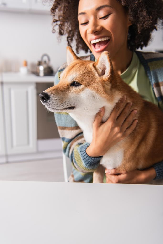 astonished african american woman embracing funny shiba inu dog in kitchen - Photo, Image