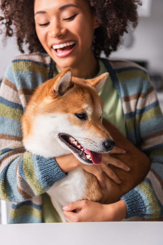espantado Africano americano mulher abraçando shiba inu cão na cozinha, fundo borrado - Foto, Imagem