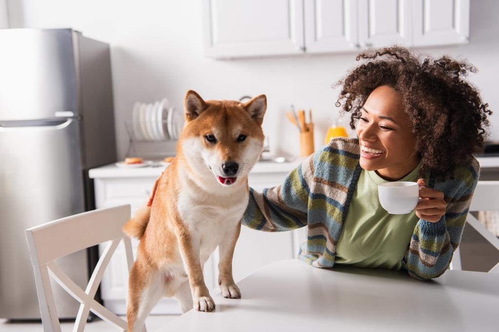 excité afro-américaine femme tenant tasse de café près shiba inu chien dans la cuisine - Photo, image