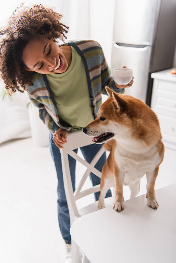 happy african american woman with coffee cup looking at funny shiba inu dog in kitchen - Photo, Image