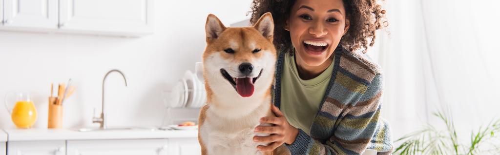 mulher americana africana espantado olhando para a câmera perto engraçado shiba inu cão, banner - Foto, Imagem