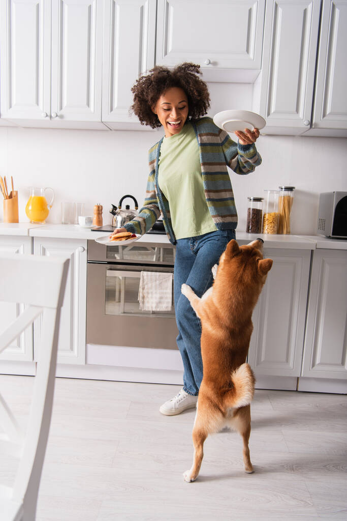 excitada mujer afroamericana sosteniendo platos con desayuno cerca de shiba inu perro de pie en las patas traseras - Foto, Imagen