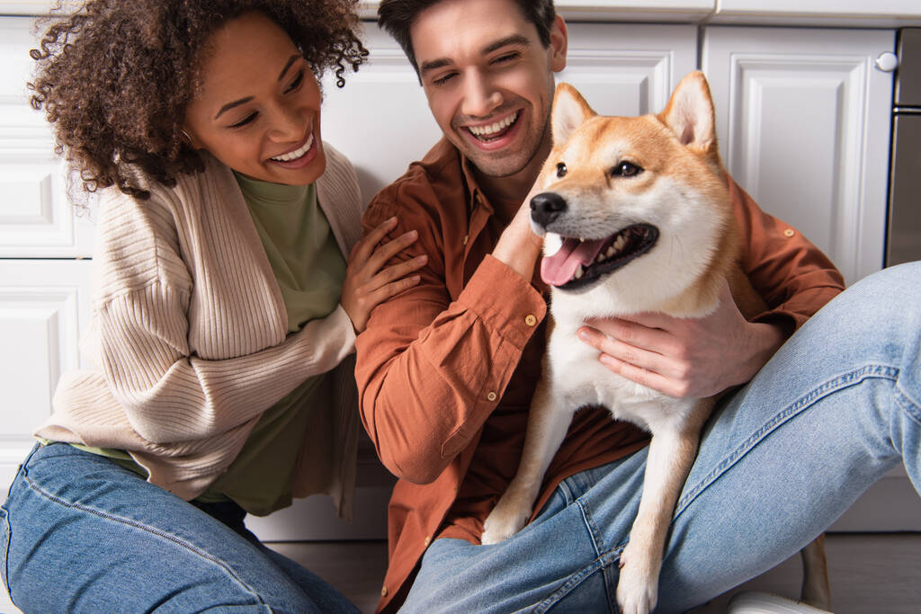 happy man holding shiba inu dog near happy african american girlfriend on floor in kitchen - Photo, Image