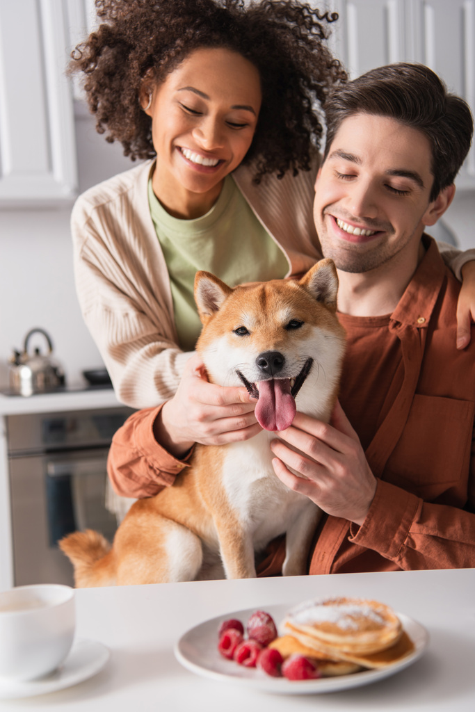 キッチンで幸せな異人種間のカップルの近くに舌を突き出す面白い柴犬 - 写真・画像