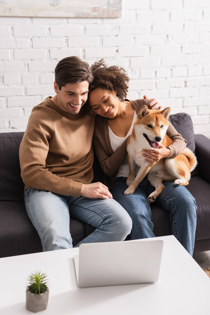 uśmiechnięta międzyrasowa para z psem shiba inu patrzącym na laptopa w salonie  - Zdjęcie, obraz