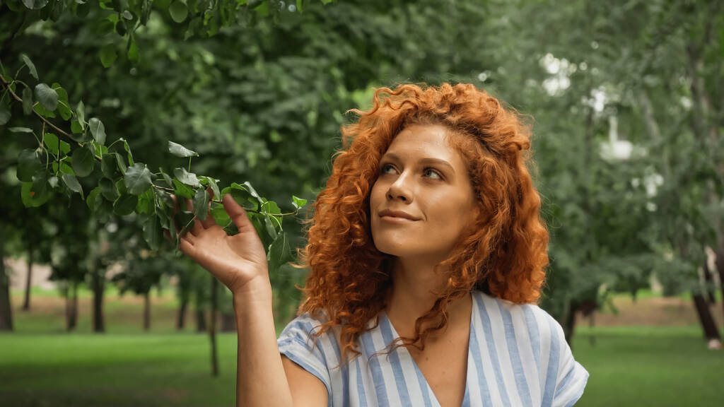 木の上の緑の葉に触れる幸せな赤毛の女性 - 写真・画像