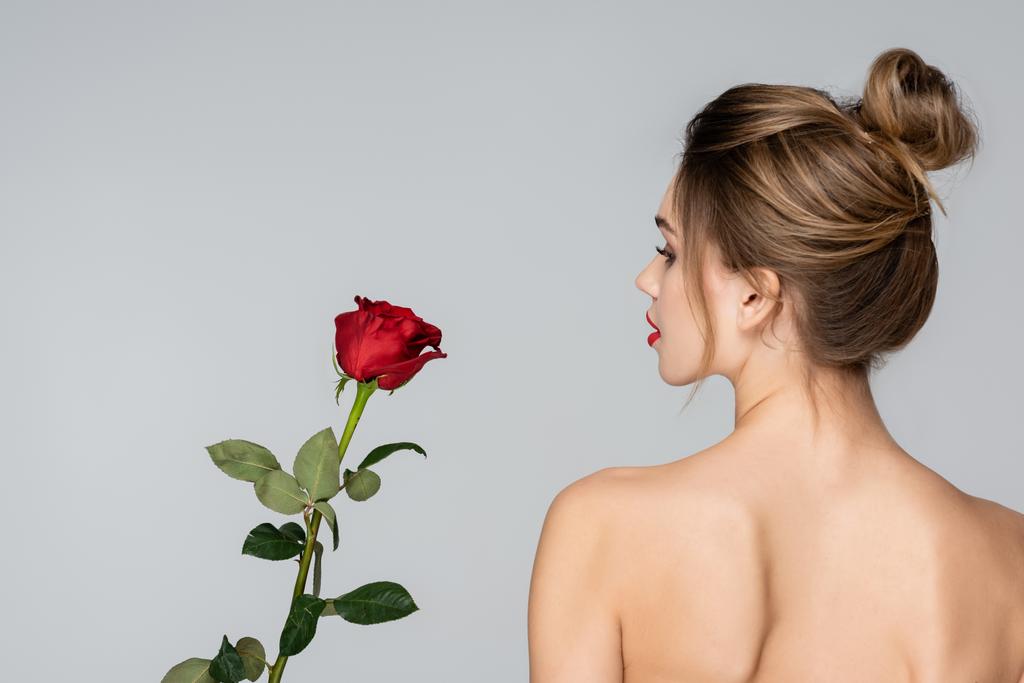 zpět pohled mladé ženy s perfektní pletí v blízkosti červené růže izolované na šedé - Fotografie, Obrázek