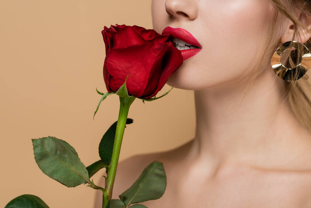 μερική άποψη της αισθησιακής γυναίκας με φρέσκο τριαντάφυλλο κοντά στα κόκκινα χείλη απομονώνονται σε μπεζ - Φωτογραφία, εικόνα