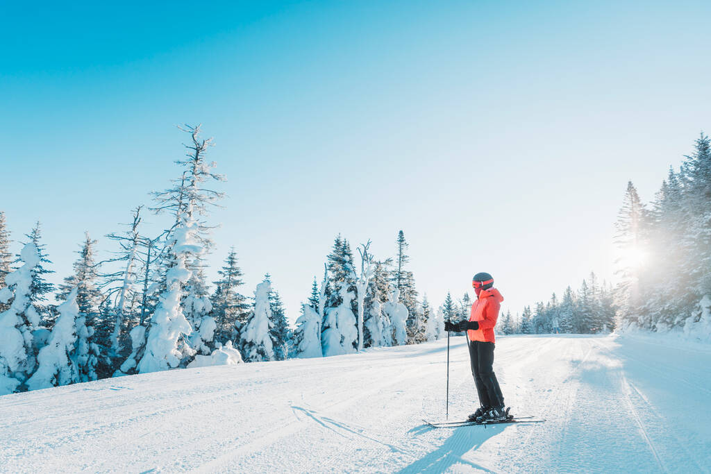 Skifahren. Ski-Porträt einer alpinen Skirennläuferin mit Skihelm, cooler Skibrille und Hartschalen-Winterjacke und Skihandschuhen an kalten Tagen vor schneebedeckten Bäumen am Skihang. - Foto, Bild