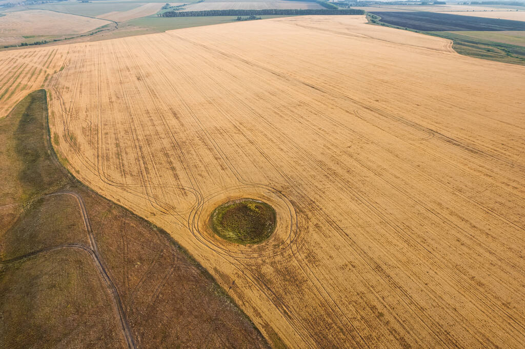 Voar sobre o campo após a colheita. Um círculo uniforme de vegetação intocada no meio de um campo cultivado. Geometria e formas na natureza - Foto, Imagem
