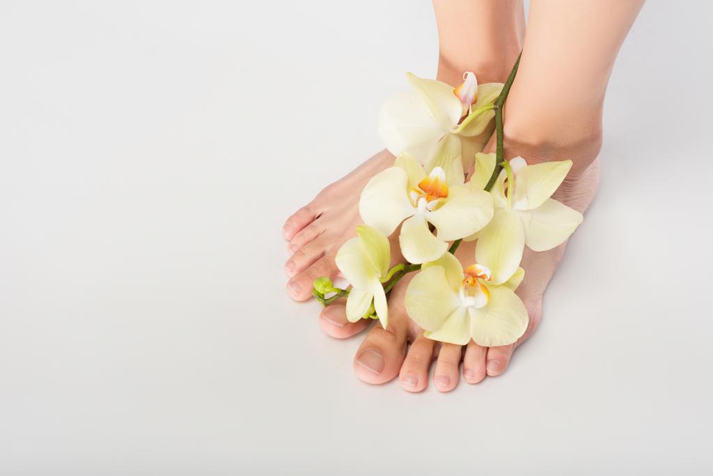 abgeschnittene Ansicht einer Frau mit Orchidee an Füßen auf weißem Hintergrund - Foto, Bild