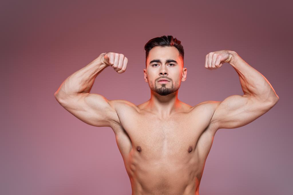 valaistus paidaton mies osoittaa lihaksia vaaleanpunainen ja harmaa   - Valokuva, kuva
